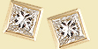 Earrings Earrings
