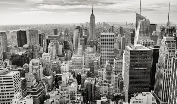 Lazy Owl Image