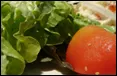 mobanwang.com