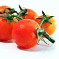 Tomatos