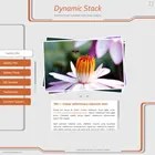 Dynamic Stack