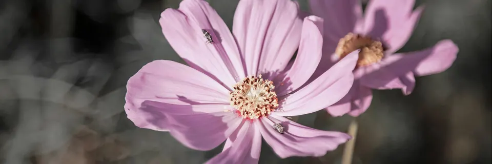 slider image 4