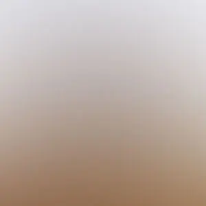 Person