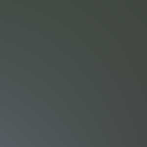 Free Website Template