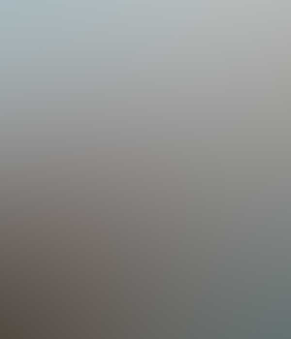 Free HTML5 Templates