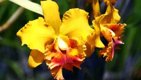 Image 06