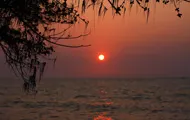 Image 02