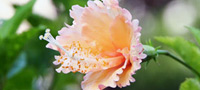 Image 04