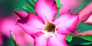 Image 07