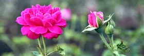 Image 03