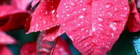 Image 09