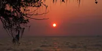 Image 07