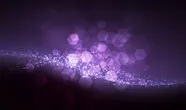 Title 03