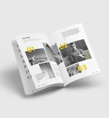 Portfolio Item