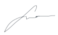 Signature Image