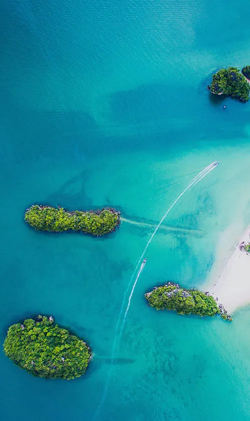 https://unsplash.com/@dnevozhai