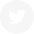 twitter icon