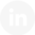 linkedin icon