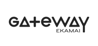 partner
