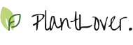 main-logo