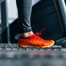 FF Fit