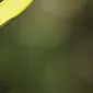 f6
