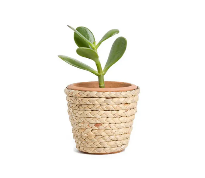 product_10