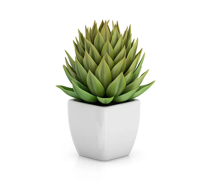 product_11