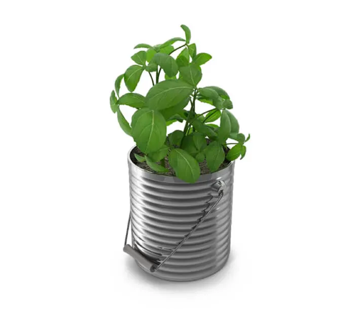 product_24