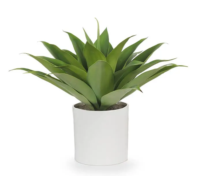 product_18