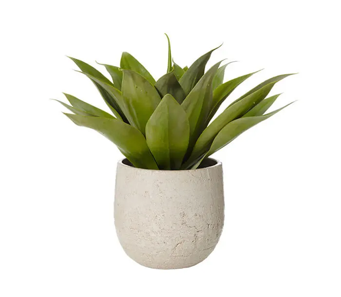 product_19