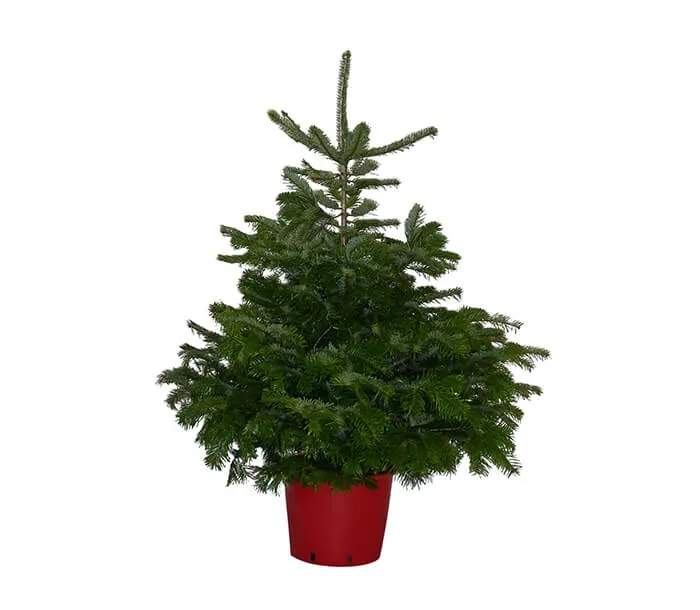 product_22