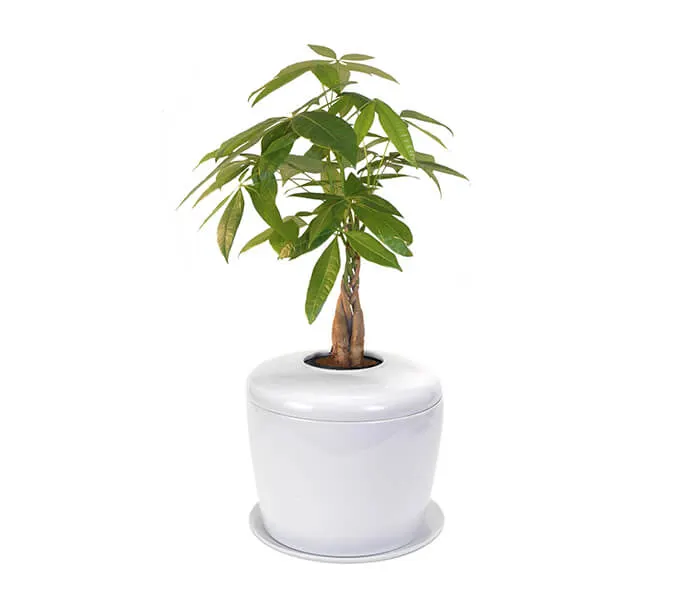 product_27
