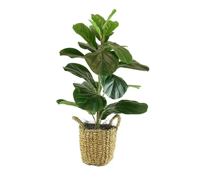 product_28