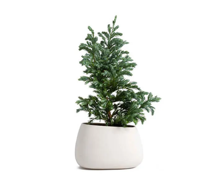 product_4
