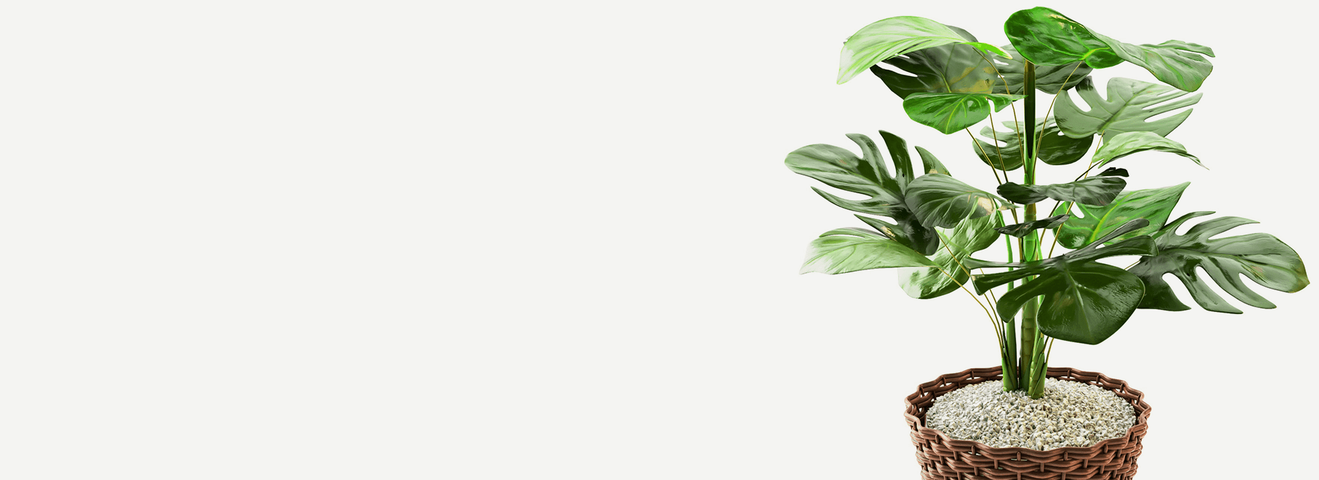 s1