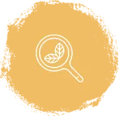 Product Category
