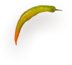 Inner Image