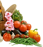 bg images