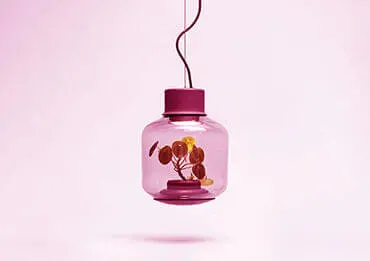 portfolio-img