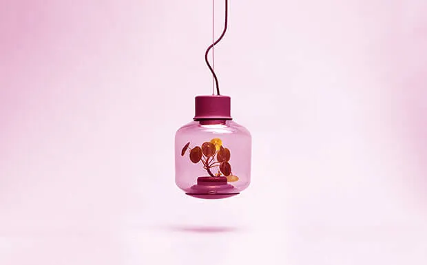 portfolio-image