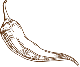 shape