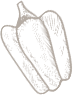 shape