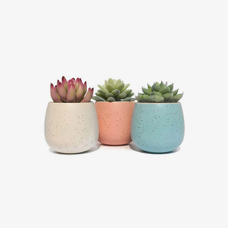 product_20