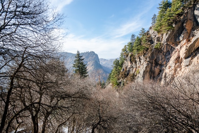 blog