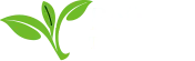 Refresh Tea