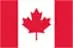flag image