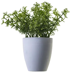 pot