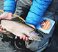 footer-gallery