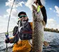 footer-gallery